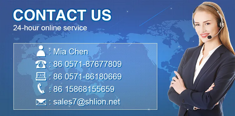 Anti-Bedsore Electric Care Bed for Bedridden Patient