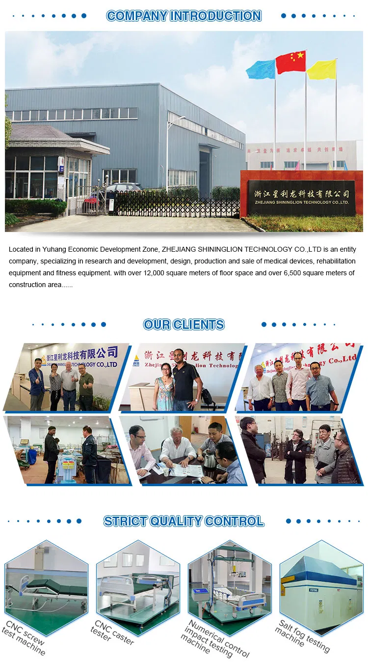 Anti-Bedsore Electric Care Bed for Bedridden Patient