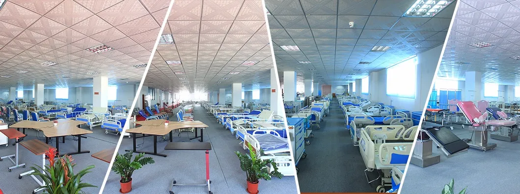 China Medical Supply Hospital Manual Bed with Three Cranks