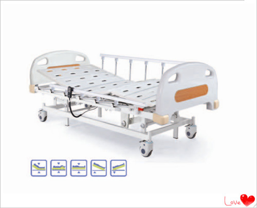 Deluxe Electric Hospital Care Bed