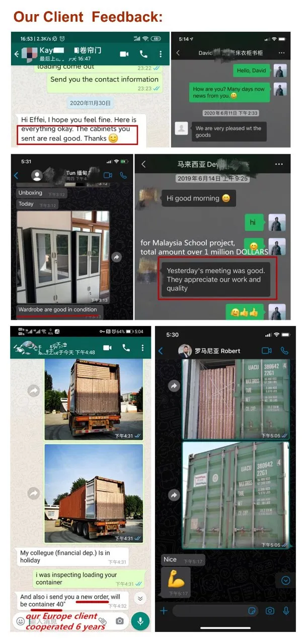 Fas-028 Colorful Steel Furniture Cabinet 6 Door School Metal Locker