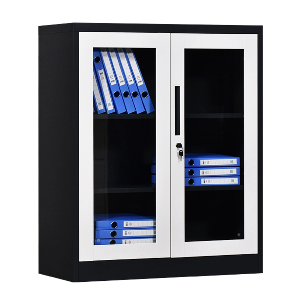 Luoyang Office Storage (Glass Door)