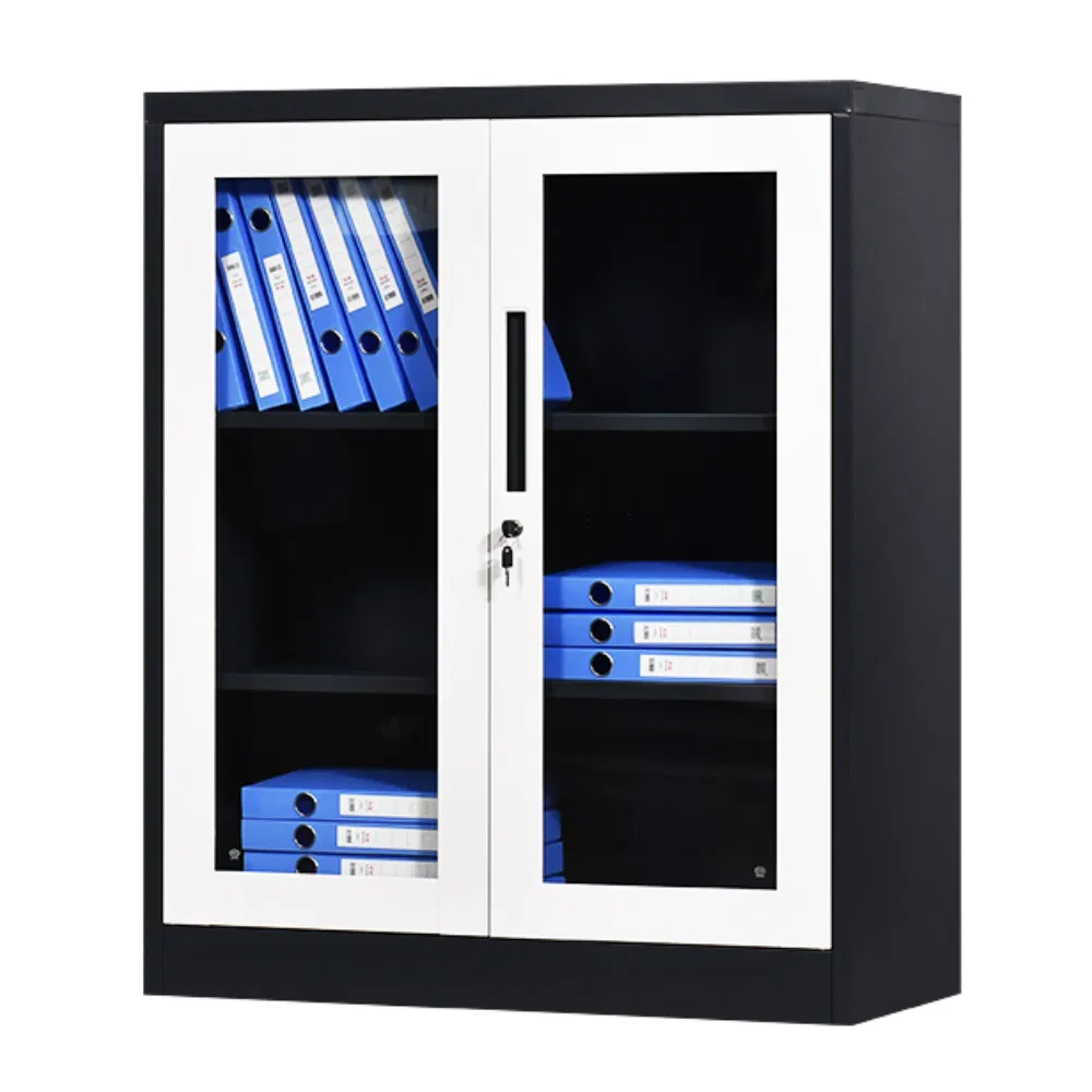Luoyang Office Storage (Glass Door)