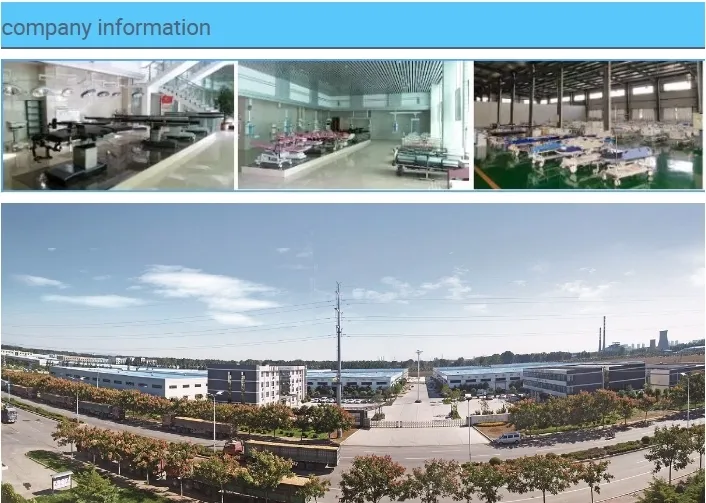 Luxury Guardrail Heught Adjustable Double Shake Child Bed in Children Hospital Bed Hospital Equipment