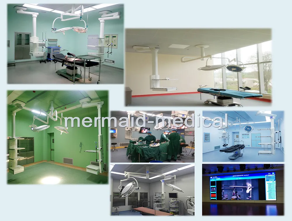 Medical Furniture Electric 3 Functions Patient Bed Me001-8