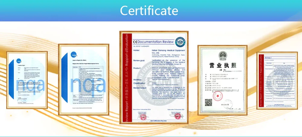 Medical Furniture ICU Multifunctional Hospital Medical Bed for Patient