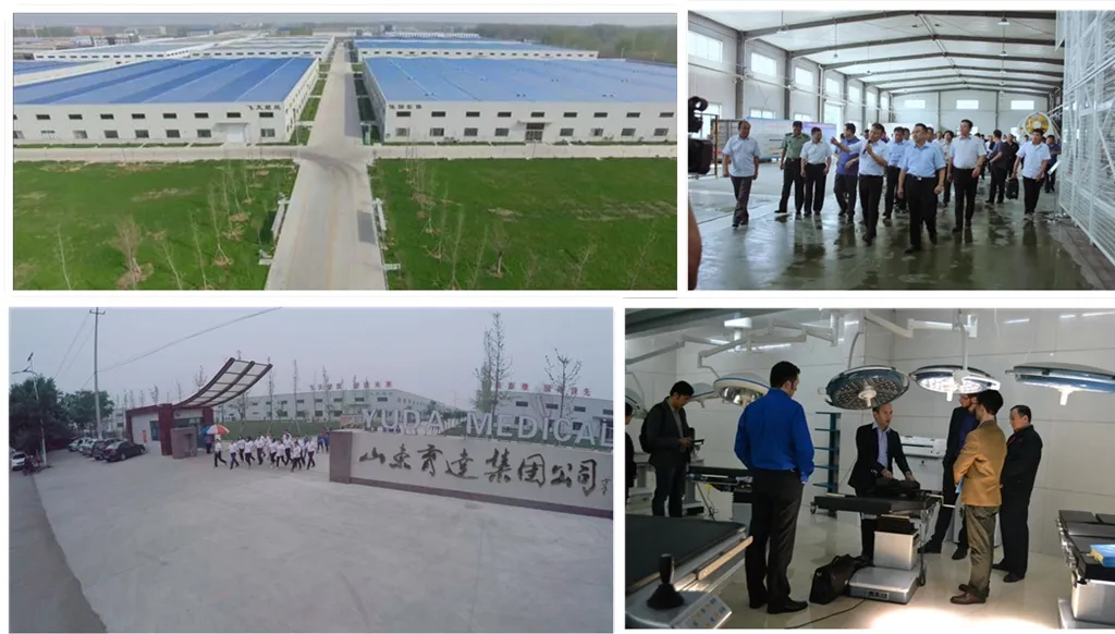 Medical Luxury Child Bed Hospital Functional Nursing Height Adustable Bed for Children