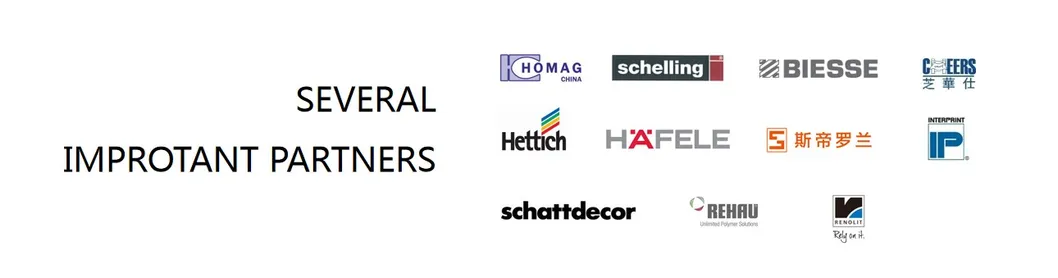 Modern PVC Kitchen Cabinets with Multiple Storage Spaces