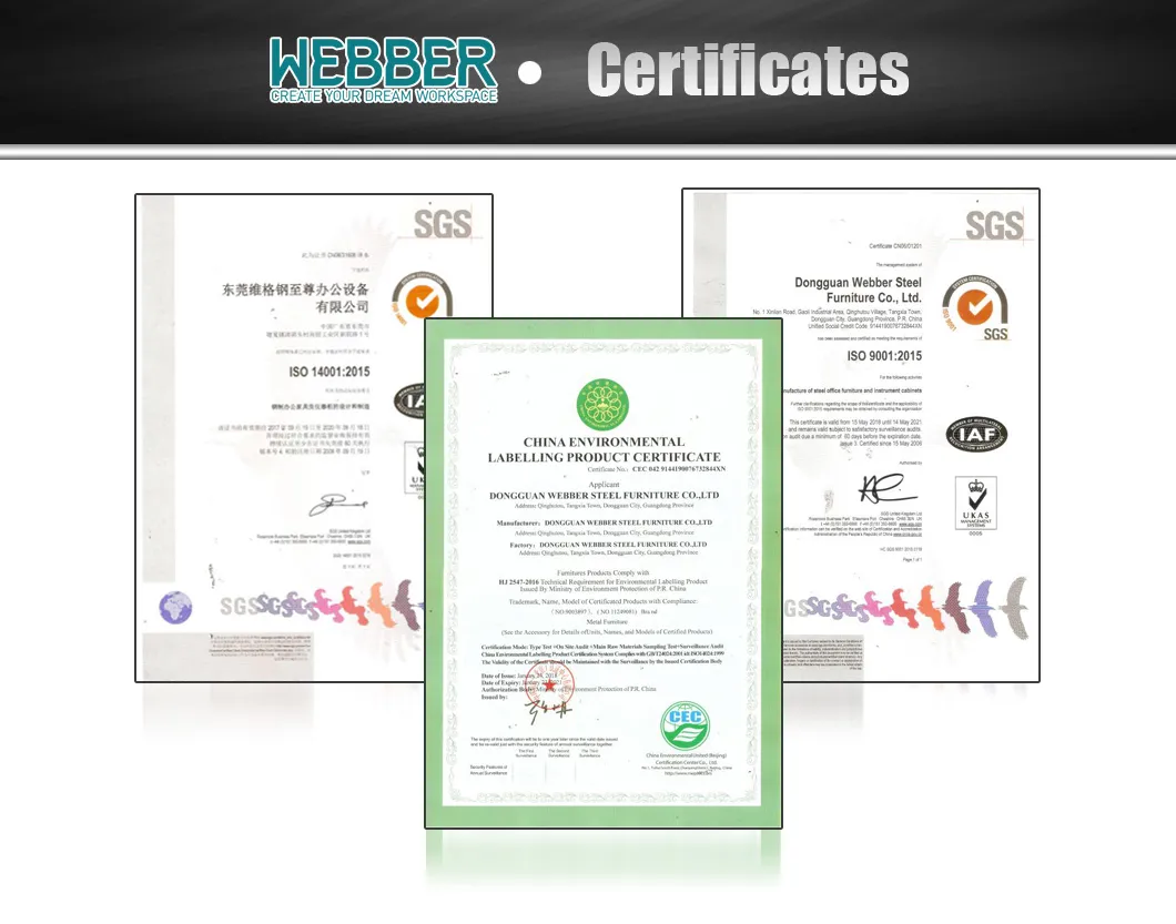 Push-Pulling Webber Cartons ISO9001: 2000, ISO14001: 2004 Office Furniture Storage Cabinet