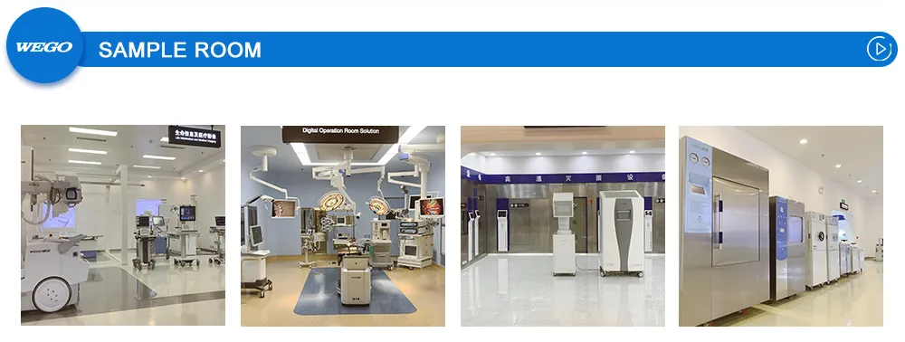 Wg-Hb2/L Hospital Couch Patient Clinic Beds 2 Cranks Manual Hospital Couch for Sale