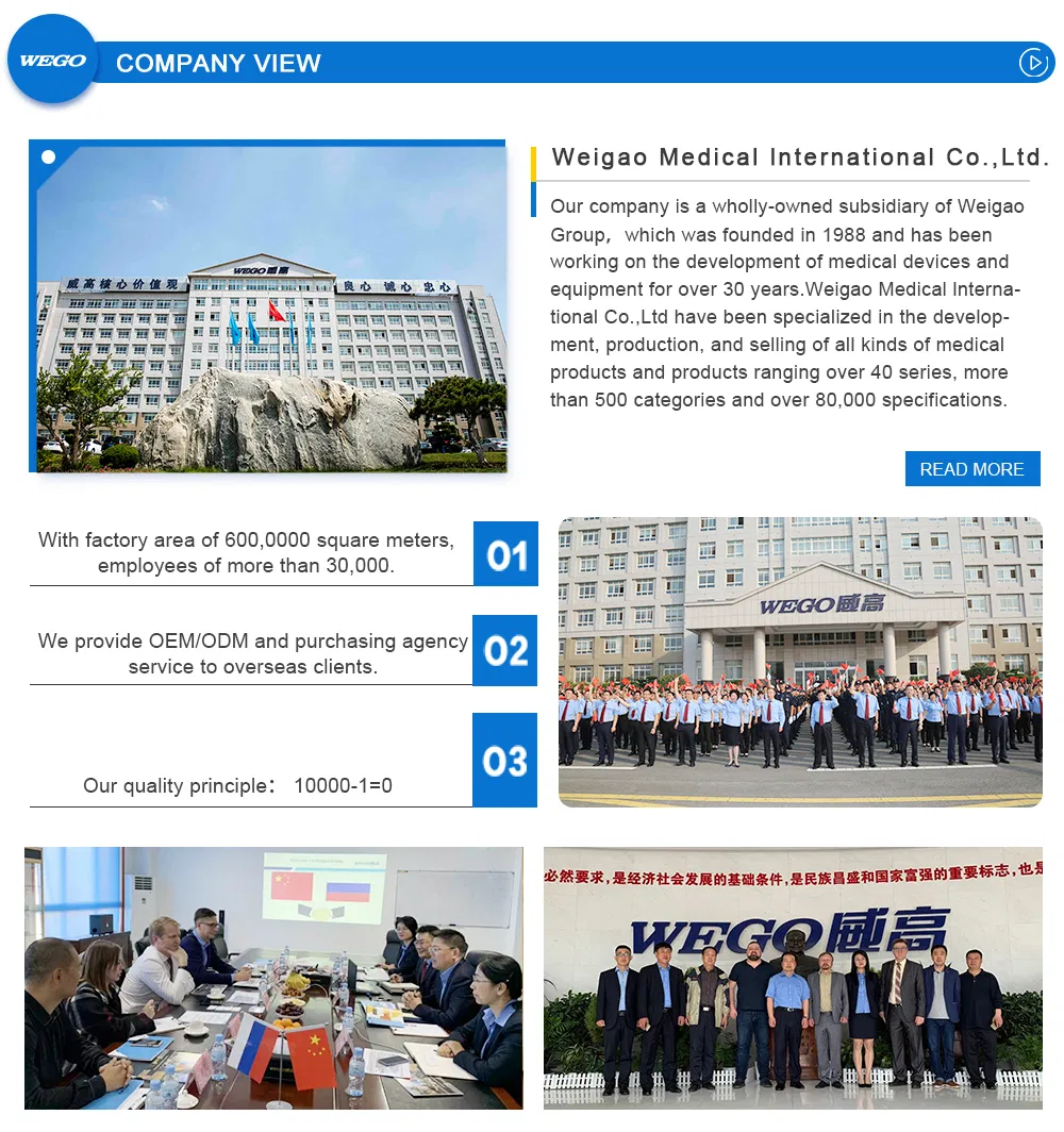 Wg-Hb2/L Hospital Couch Patient Clinic Beds 2 Cranks Manual Hospital Couch for Sale