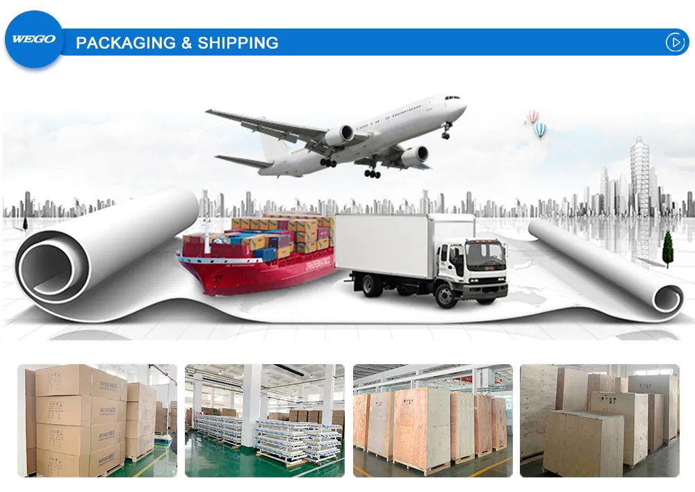 Wg-Hb2/L Hospital Couch Patient Clinic Beds 2 Cranks Manual Hospital Couch for Sale